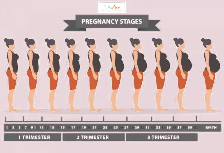 First Trimester (Weeks 1–12): Early Changes You Might Not Notice Hampstead